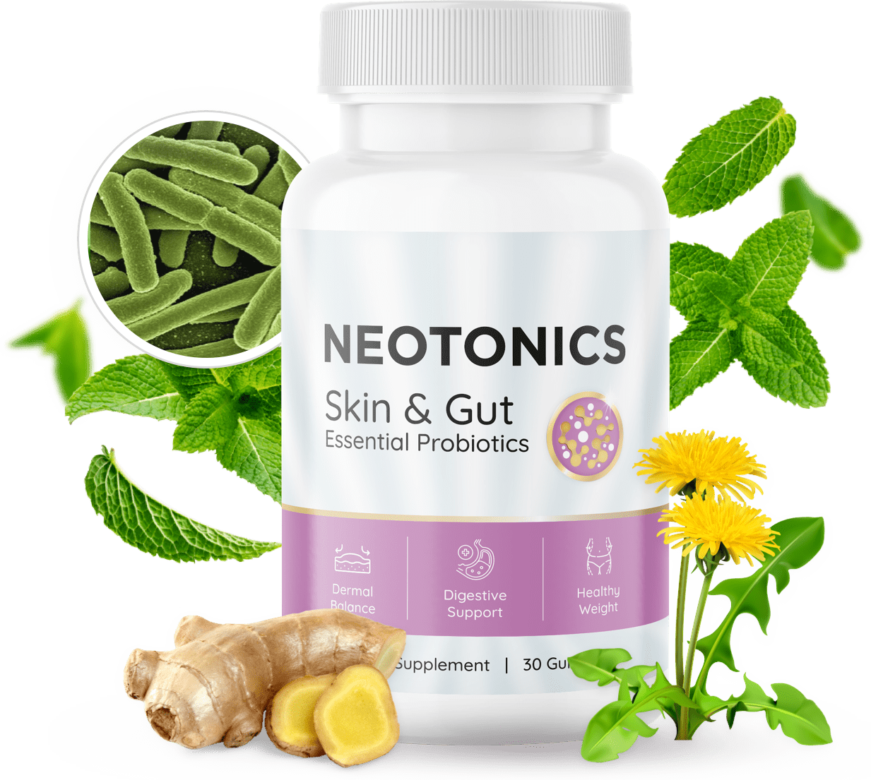 Neotonics official website